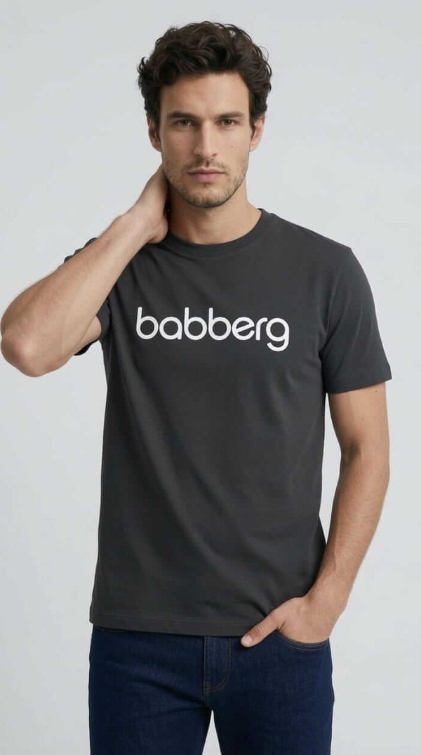 Babberg Erkek Antrasit Bisiklet Yaka Kısa Kollu Logolu Tişört